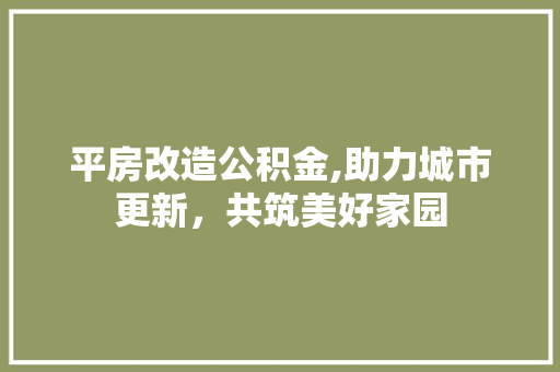 平房改造公积金,助力城市更新，共筑美好家园