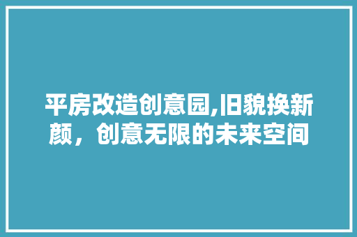 平房改造创意园,旧貌换新颜，创意无限的未来空间 装修攻略