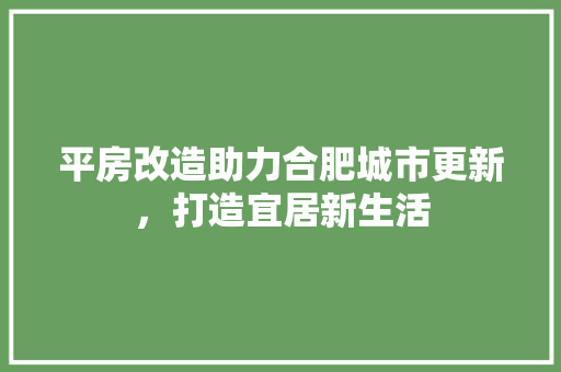 平房改造助力合肥城市更新，打造宜居新生活