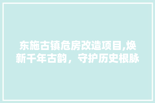东施古镇危房改造项目,焕新千年古韵，守护历史根脉