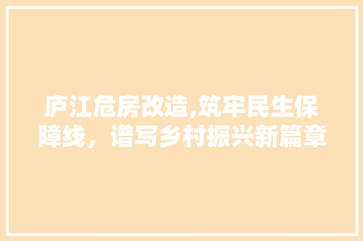 庐江危房改造,筑牢民生保障线，谱写乡村振兴新篇章