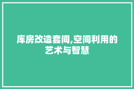 库房改造套间,空间利用的艺术与智慧 墙面装饰