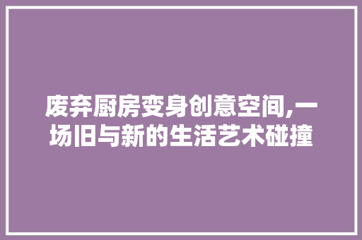 废弃厨房变身创意空间,一场旧与新的生活艺术碰撞 装修材料