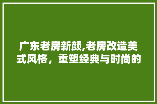 广东老房新颜,老房改造美式风格，重塑经典与时尚的和谐共鸣