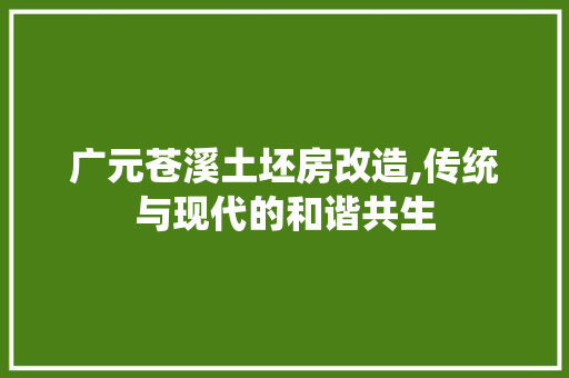 广元苍溪土坯房改造,传统与现代的和谐共生