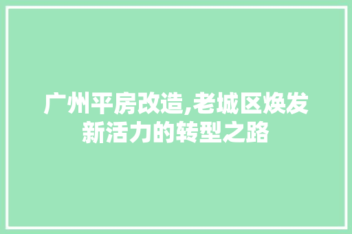 广州平房改造,老城区焕发新活力的转型之路