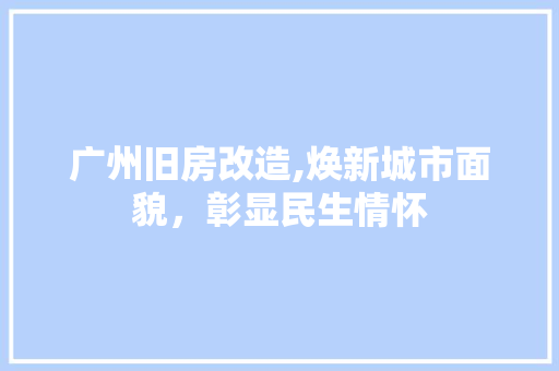 广州旧房改造,焕新城市面貌，彰显民生情怀