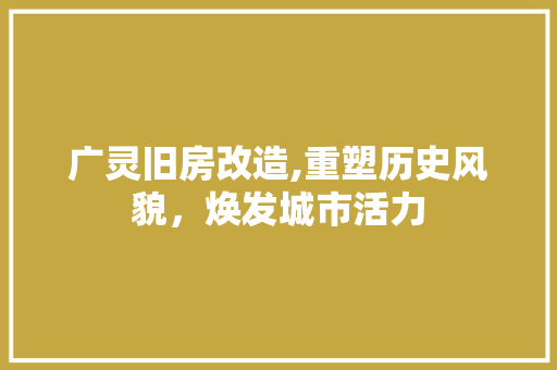 广灵旧房改造,重塑历史风貌，焕发城市活力