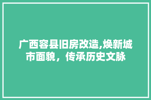 广西容县旧房改造,焕新城市面貌，传承历史文脉