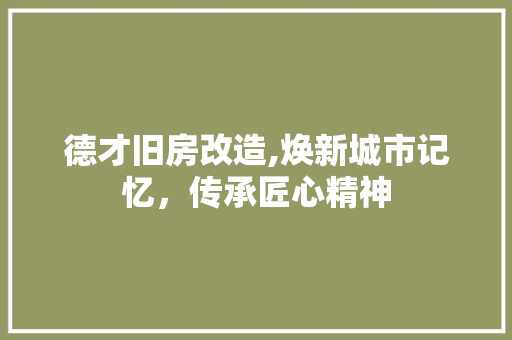 德才旧房改造,焕新城市记忆，传承匠心精神 装修材料