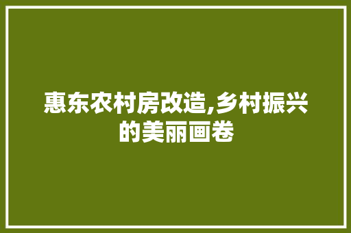 惠东农村房改造,乡村振兴的美丽画卷