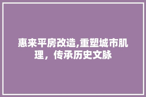 惠来平房改造,重塑城市肌理，传承历史文脉