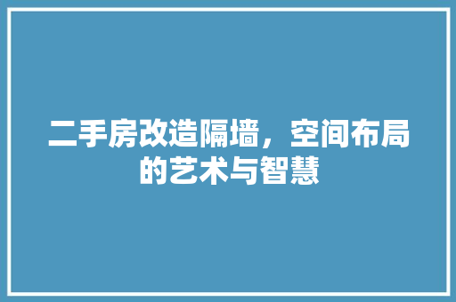 二手房改造隔墙，空间布局的艺术与智慧 地面装修