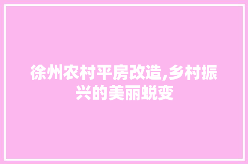 徐州农村平房改造,乡村振兴的美丽蜕变