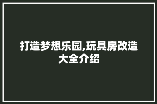 打造梦想乐园,玩具房改造大全介绍 隔断设计