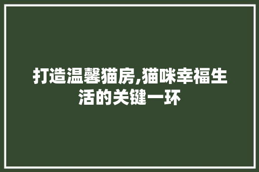 打造温馨猫房,猫咪幸福生活的关键一环