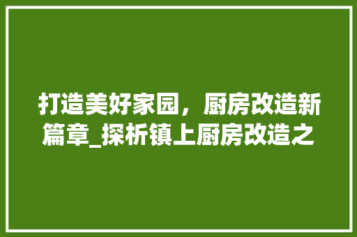 打造美好家园，厨房改造新篇章_探析镇上厨房改造之路