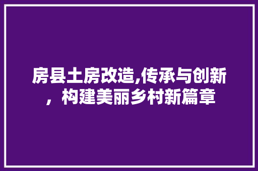 房县土房改造,传承与创新，构建美丽乡村新篇章