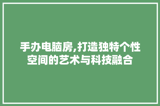 手办电脑房,打造独特个性空间的艺术与科技融合