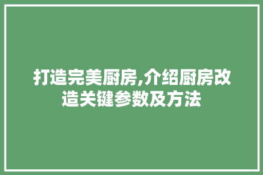 打造完美厨房,介绍厨房改造关键参数及方法
