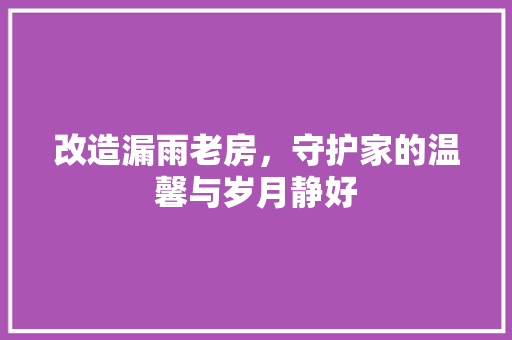 改造漏雨老房，守护家的温馨与岁月静好
