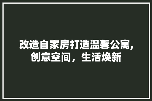 改造自家房打造温馨公寓,创意空间，生活焕新