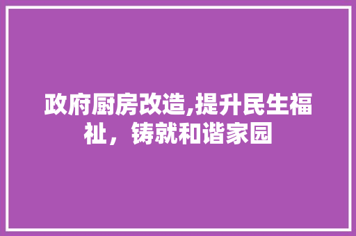 政府厨房改造,提升民生福祉，铸就和谐家园