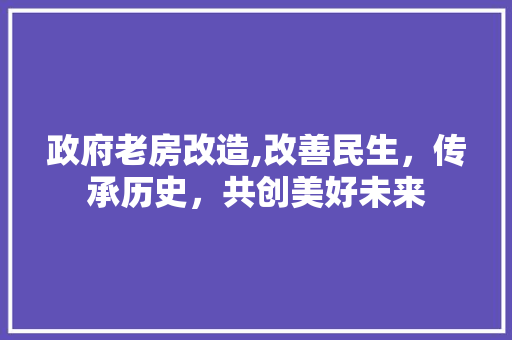 政府老房改造,改善民生，传承历史，共创美好未来