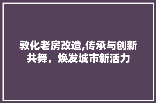 敦化老房改造,传承与创新共舞，焕发城市新活力