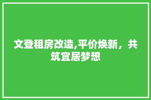 文登租房改造,平价焕新，共筑宜居梦想