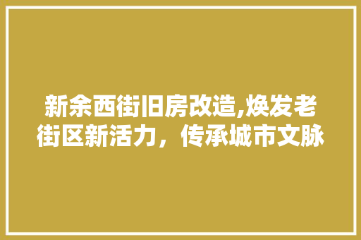 新余西街旧房改造,焕发老街区新活力，传承城市文脉