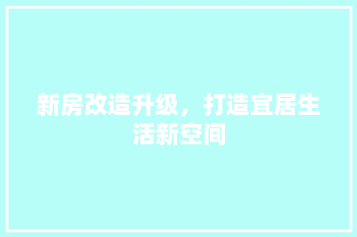 新房改造升级，打造宜居生活新空间