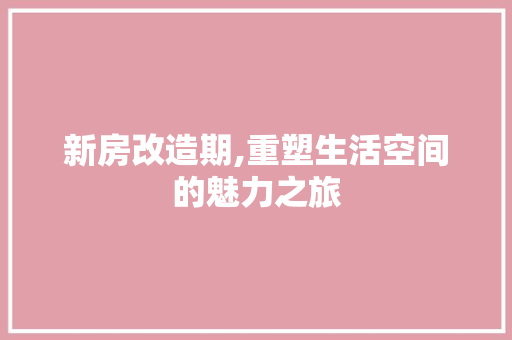 新房改造期,重塑生活空间的魅力之旅