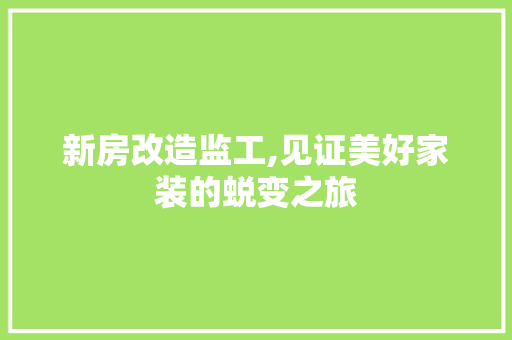 新房改造监工,见证美好家装的蜕变之旅 门窗装修