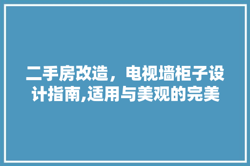 二手房改造，电视墙柜子设计指南,适用与美观的完美融合 庭院装修