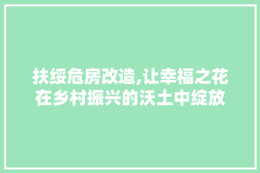 扶绥危房改造,让幸福之花在乡村振兴的沃土中绽放 地面装修