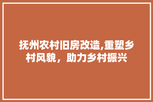 抚州农村旧房改造,重塑乡村风貌，助力乡村振兴