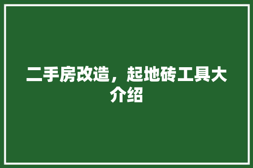 二手房改造，起地砖工具大介绍