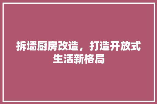 拆墙厨房改造，打造开放式生活新格局 装修攻略
