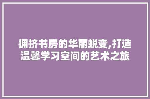 拥挤书房的华丽蜕变,打造温馨学习空间的艺术之旅