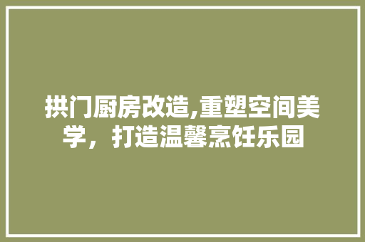 拱门厨房改造,重塑空间美学，打造温馨烹饪乐园