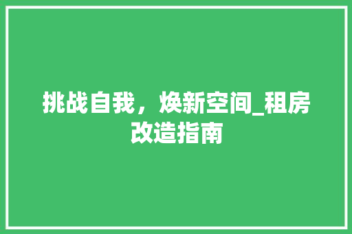 挑战自我，焕新空间_租房改造指南