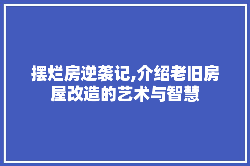 摆烂房逆袭记,介绍老旧房屋改造的艺术与智慧