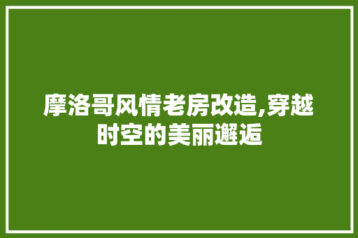 摩洛哥风情老房改造,穿越时空的美丽邂逅