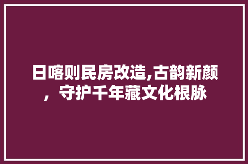 日喀则民房改造,古韵新颜，守护千年藏文化根脉