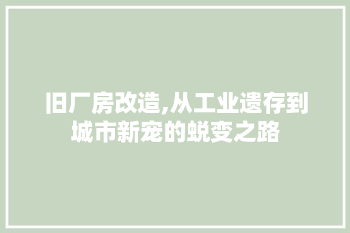 旧厂房改造,从工业遗存到城市新宠的蜕变之路