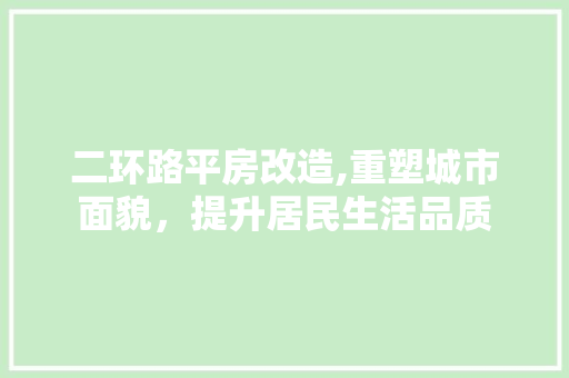 二环路平房改造,重塑城市面貌，提升居民生活品质