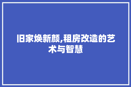 旧家焕新颜,租房改造的艺术与智慧