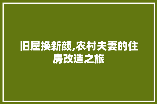旧屋换新颜,农村夫妻的住房改造之旅
