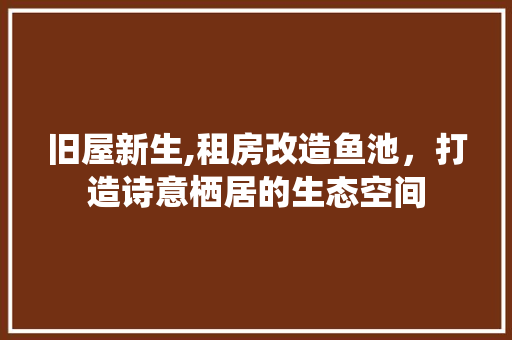 旧屋新生,租房改造鱼池，打造诗意栖居的生态空间